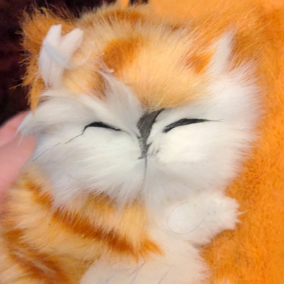 ❤️ HUAWEI P20 Pro Lot of 4 Cell Cases - Picture 12 of 15